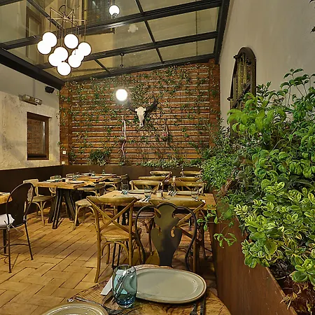 Taxim Lounge Special Category